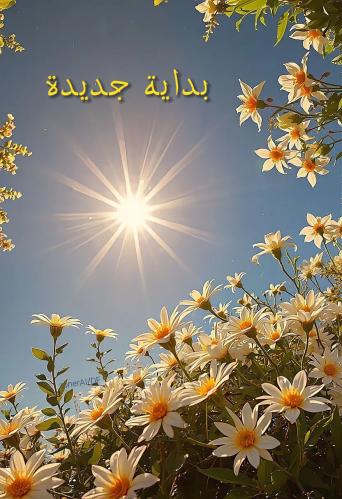 بداية جديدة