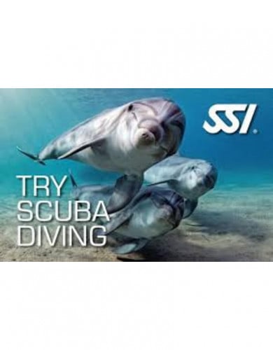 استكشاف وتجربه الغوص