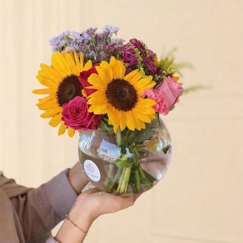 فازة امستردام