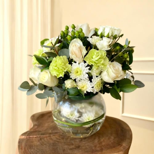 بورتوفينو بكج