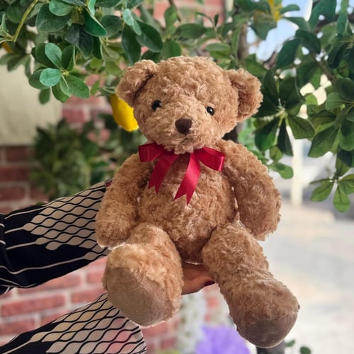 بكج يوم الحب