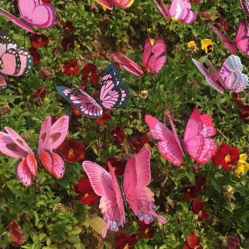 تغريسة الفراشة