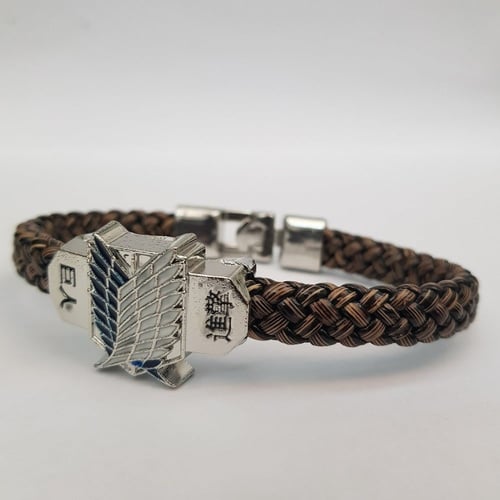 سوارة اتاك اون تايتن (هجوم العمالقة)