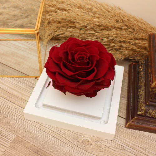 وردة دائمة مع فازة