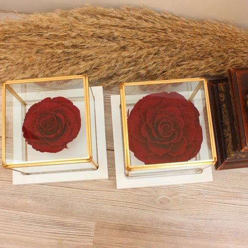 وردة دائمة مع فازة