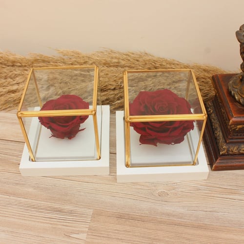 وردة دائمة مع فازة