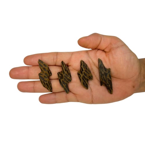 تايقر كمبودي ( 100 جرام )