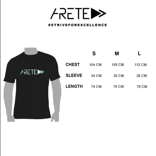 ARETE Bamboo Gray T-shirt