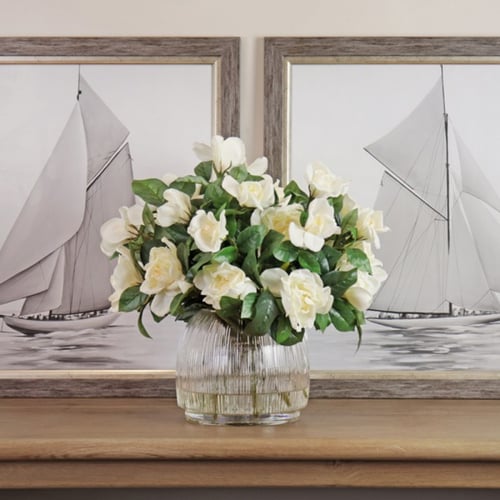 ورد جاردينيا أبيض