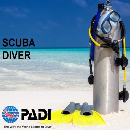 رسوم تدريب دورة غواص سكوبا