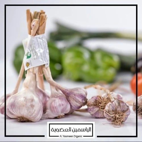 ثوم