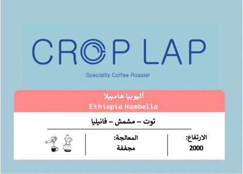 هامبيلا - اثيوبيا