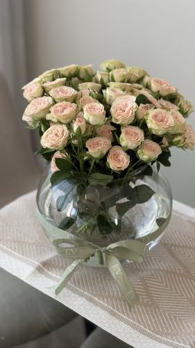 فازة بيبي روز