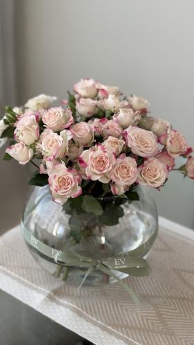 فازة بيبي روز