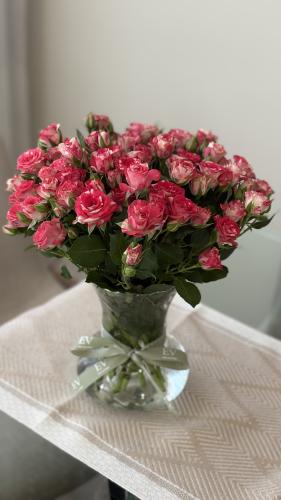 فازة بيبي جوري