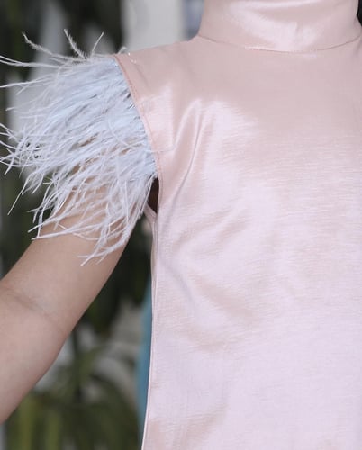 الريش الناعم