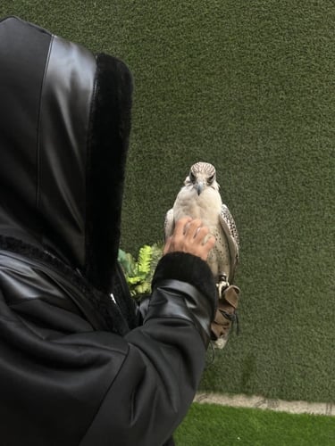 فروه رجاليه