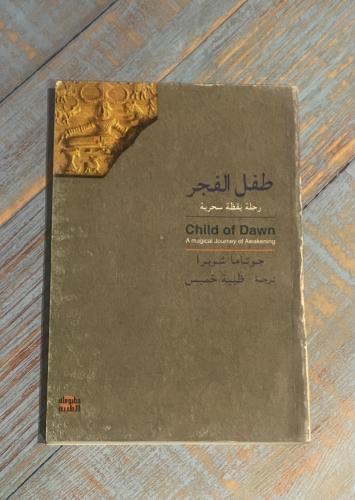طفل الفجر - رواية من الهند - ترجمة ظبية خميس