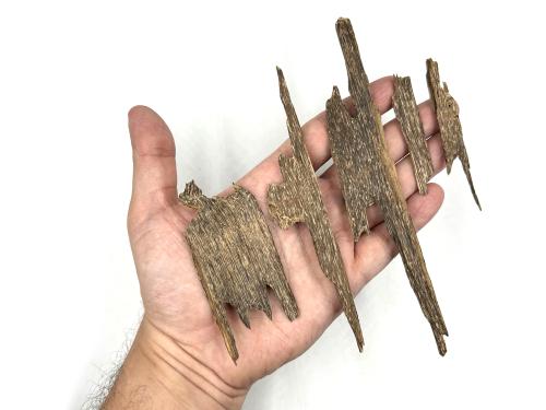 كلمنتان بونتيانك زورا دبل فيس 12 جرام OUD