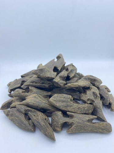 العود السومطري المميز