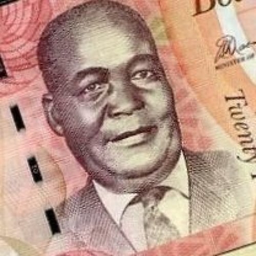 بوتسوانا فئة 20 بولا أنسر