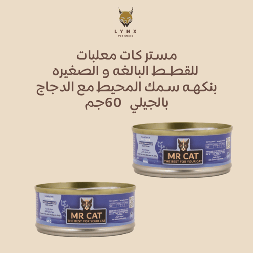 بكج مستر كات معلبات رطبه للقطط الصغيرة والبالغة 60...