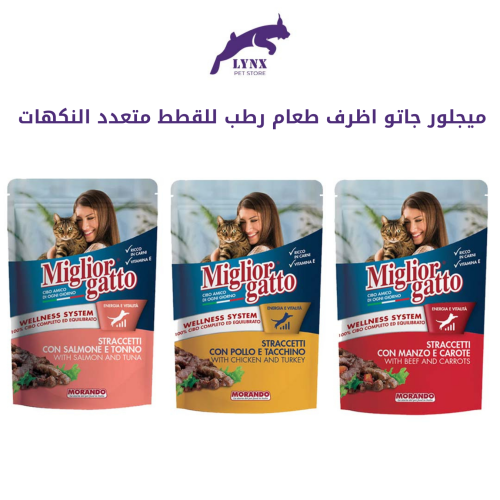 ميجلور جاتو اظرف طعام رطب للقطط متعدد النكهات – 10...