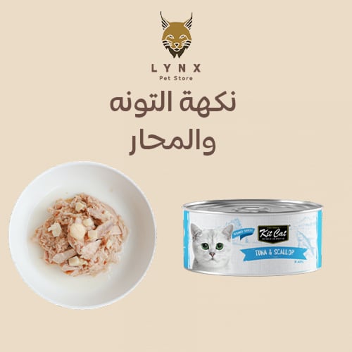 بكج من كت كات طعام رطب معلبات مشكل 80 جرام 24 حبة