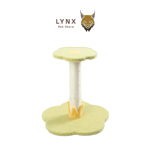 خداشة قطط شكل وردة - متعدد الألوان