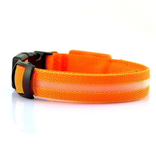 اطواق فسفورية لحيواناتك الاليفه - متعددة الألوان