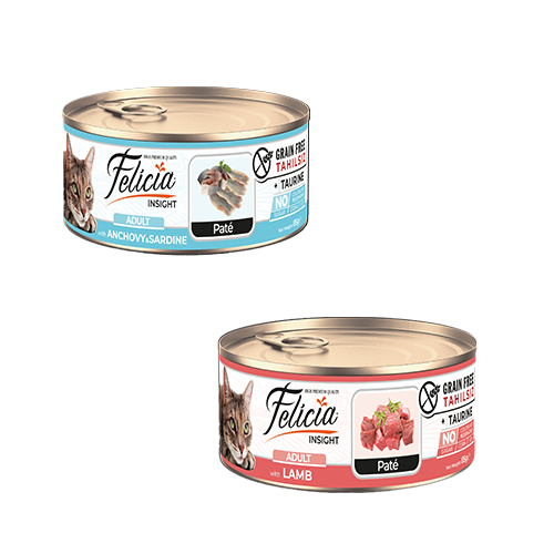 فيليسيا طعام رطب باتيه للقطط البالغة 85 جرام متعدد...