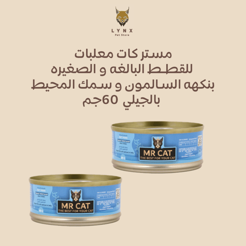 بكج مستر كات معلبات رطبه للقطط الصغيرة والبالغة 60...