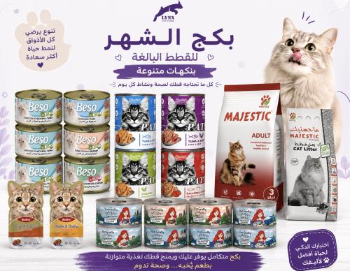 البكج الشهري للقطط البالغة 22 حبة
