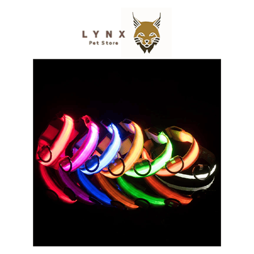 اطواق فسفورية لحيواناتك الاليفه - متعددة الألوان