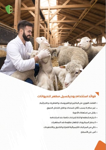 مطهر بوديسكيل يقضي على 99% من الجراثيم و امن على أ...