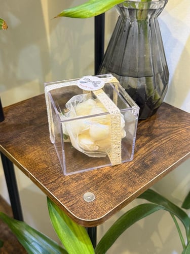 مسكة العروسه