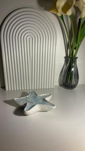 شمعة النجمة البحرية