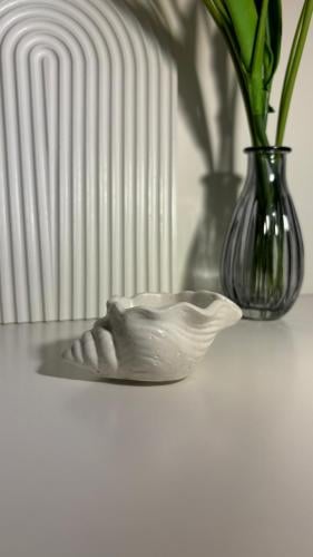 قوقعه اسمنتيه