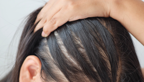 3 جلسات ناد للشعر