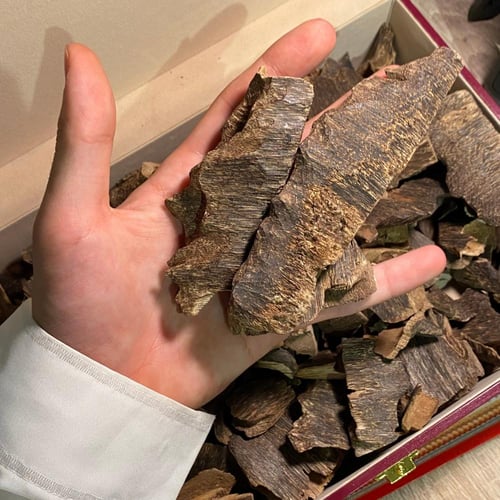 زوايا بوتان سوبر