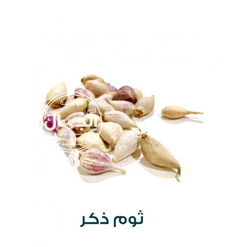 ثوم ذكر 125جم