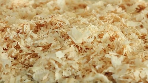 نشارة خشب EMILY Pets 4KG