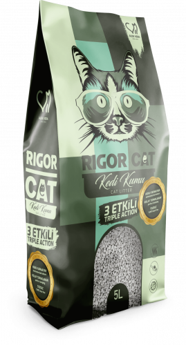 ريجور كات رمل قطط برائحة الصبار 5L