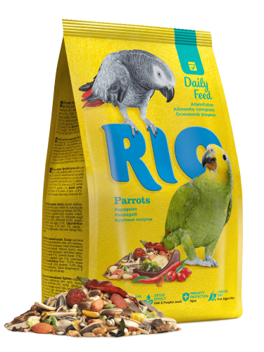 ريو تغذية يومية للببغاوات