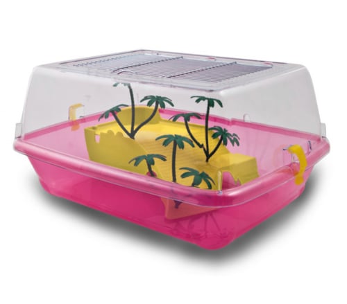 برغامو إلبا حوض سلاحف, وسط ألوان متعدده