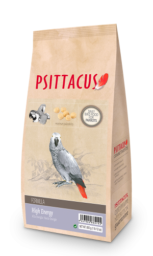 غذاء يومي عالي الطاقة high Energy