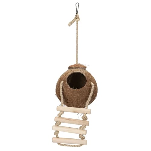 بيت عش من جوز الهند الطبيعي مع سلم الطيور