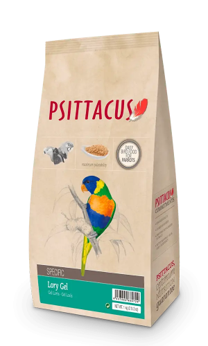 LORY GEL لوري جل