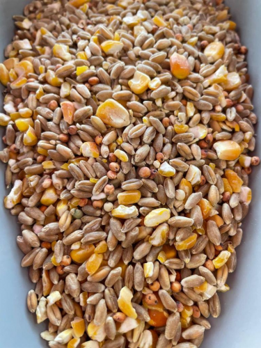 خلطة مشكلة لطيور الحمام والطيور البرية والدواجن