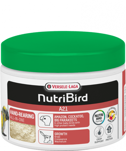 سيريلاك الغر A 21